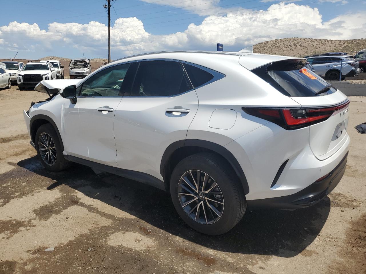 2024 LEXUS NX 250 PREMIUM VIN:WP0AA2A8XNS255297