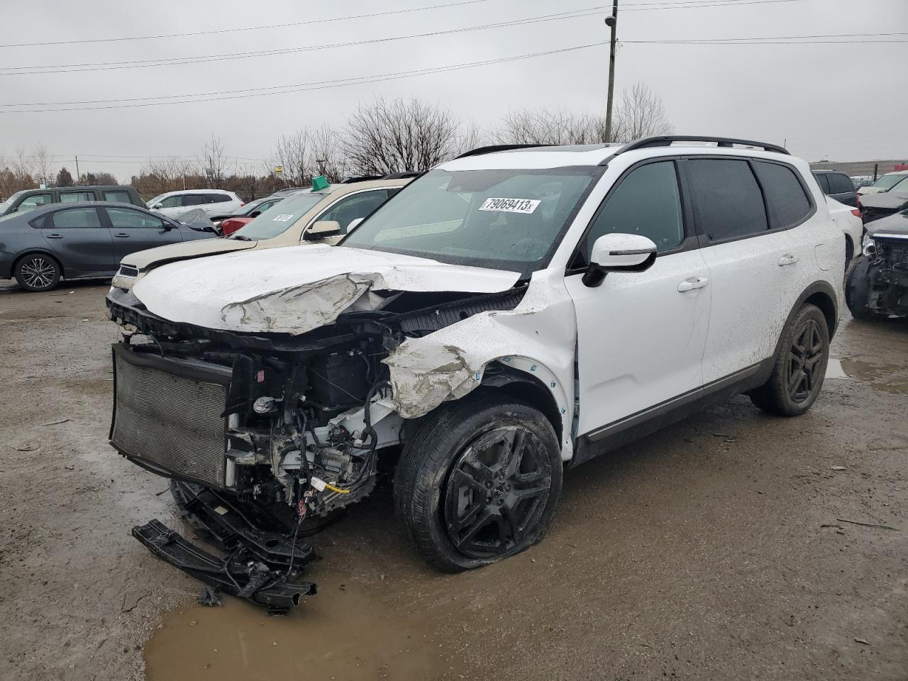 2023 KIA TELLURIDE SX VIN:5XYP5DGC4PG373134