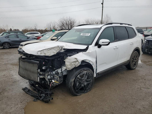 2023 KIA TELLURIDE SX VIN:5XYP5DGC4PG373134