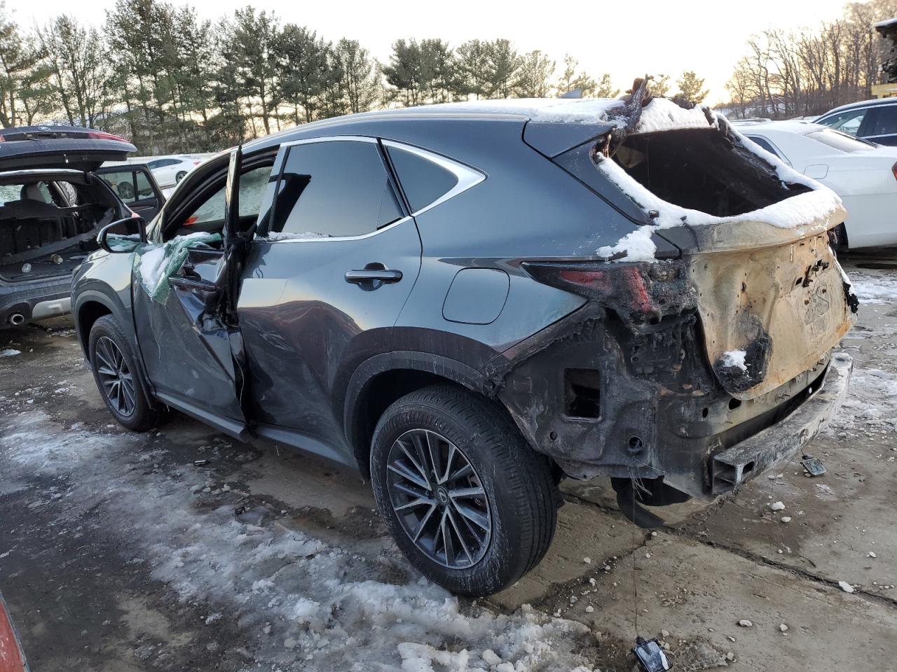 2024 LEXUS NX 350 BASE VIN:2T2AGCEZ9RC057644