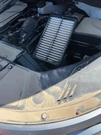 2021 Kia Carnival KNANB81BBMS009403 VIN:KNANB81BBMS009403