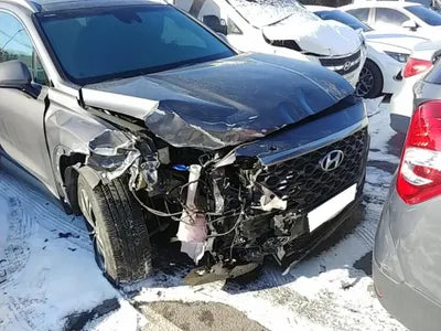 2018 Hyundai Santa FE KMHS381BBKU070833 VIN:KMHS381BBKU070833
