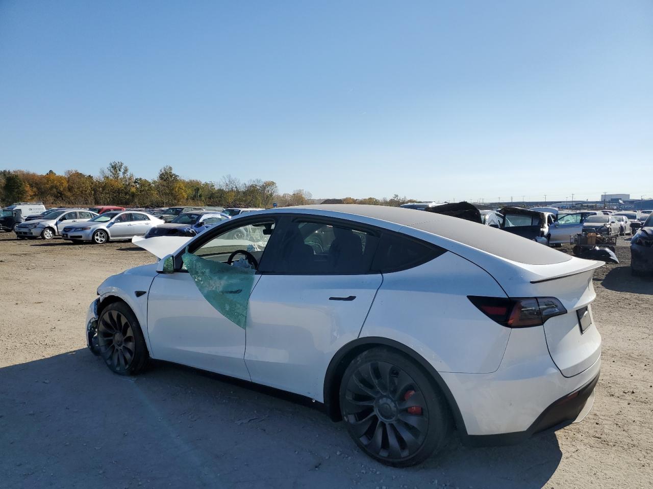 2024 TESLA MODEL Y  VIN:7SAYGDEF5RA274117