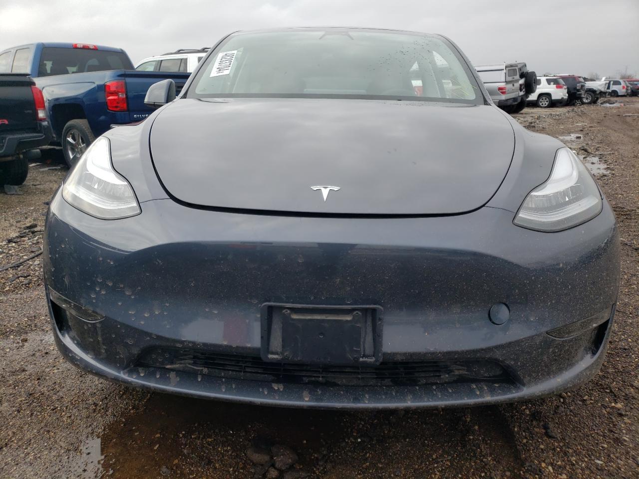 2023 TESLA MODEL Y  VIN:7SAYGDEEXPA053911