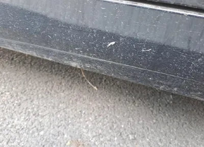 2021 BMW 523 WBA31ES04MWX07865 VIN:WBA31ES04MWX07865