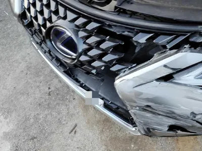 2020 Lexus UX 250 VIN: