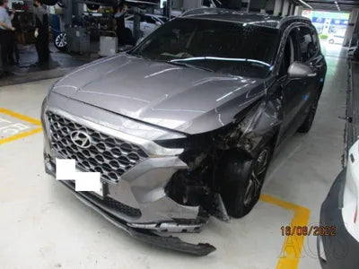 2019 Hyundai Santa FE KMHS381BDKU016097 VIN:KMHS381BDKU016097