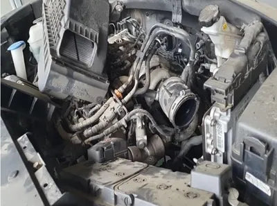 2019 Kia Sorento 025KMKNAPG81ABKA5 VIN:025KMKNAPG81ABKA5