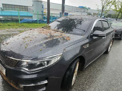 2018 Kia K5 KNAGT411BJA192827 VIN:KNAGT411BJA192827