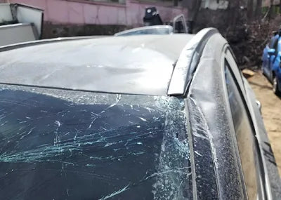 2019 Hyundai Santa FE KMHS281BBKU176591 VIN:KMHS281BBKU176591