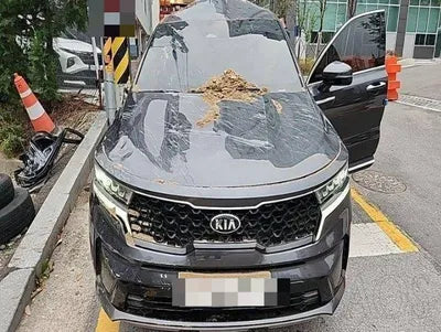 2020 Kia Sorento VIN: