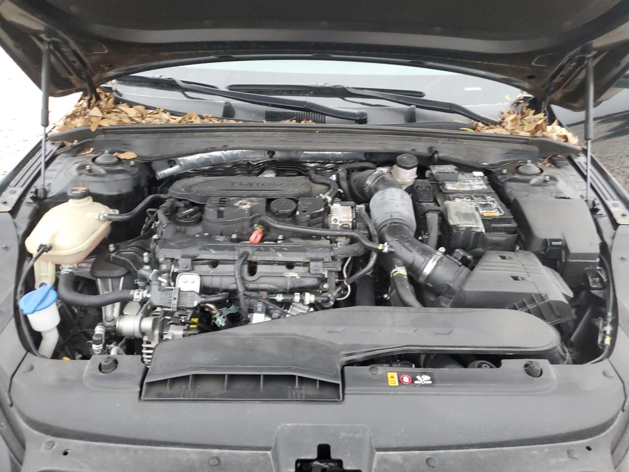 2024 KIA K5 LXS VIN:5XXG14J20RG247713
