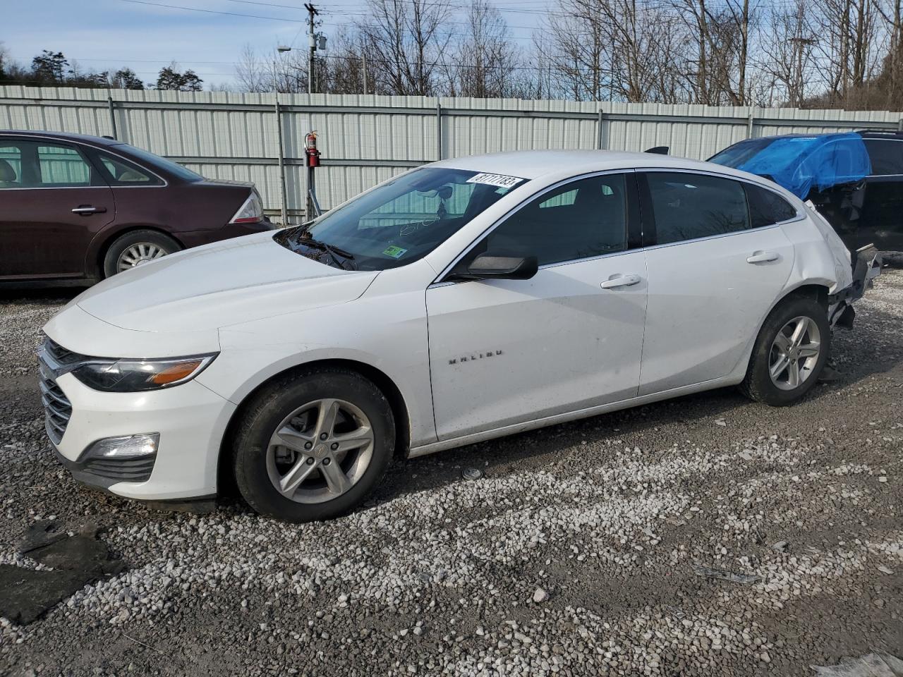 2023 CHEVROLET MALIBU LS VIN:1G1ZC5ST8PF113925