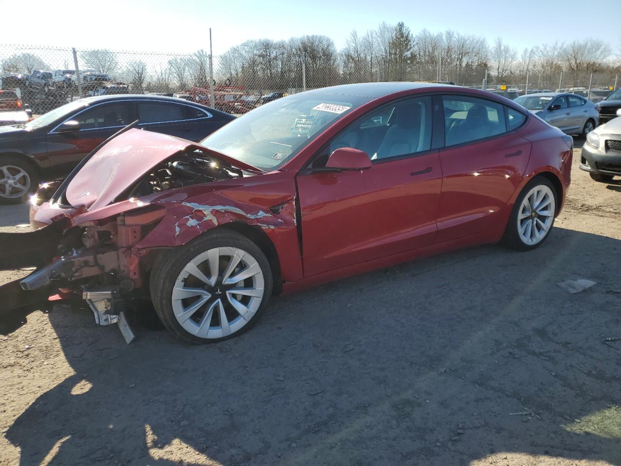 2023 TESLA MODEL 3  VIN:5YJ3E1EA8PF430828