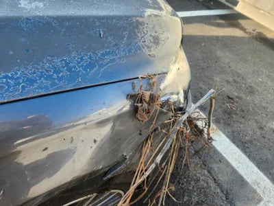 2016 Mercedes-Benz S 500 WDDUG8FB3GA280396 VIN:WDDUG8FB3GA280396