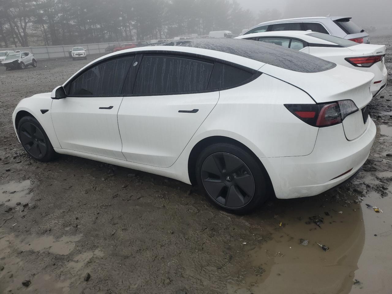 2023 TESLA MODEL 3  VIN:5YJ3E1EA5PF602314