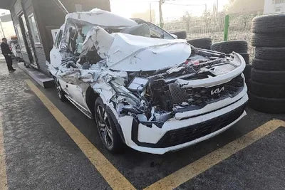 2023 Kia Sorento KNARK81GBPA167065 VIN:KNARK81GBPA167065