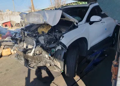 2019 Hyundai Santa FE KMHS281BBKU152315 VIN:KMHS281BBKU152315