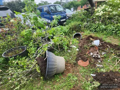 2020 BMW 740 WBA7T410XLCE40015 VIN:WBA7T410XLCE40015