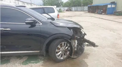 2019 Kia Sorento KNAPH81BBKA520573 VIN:KNAPH81BBKA520573