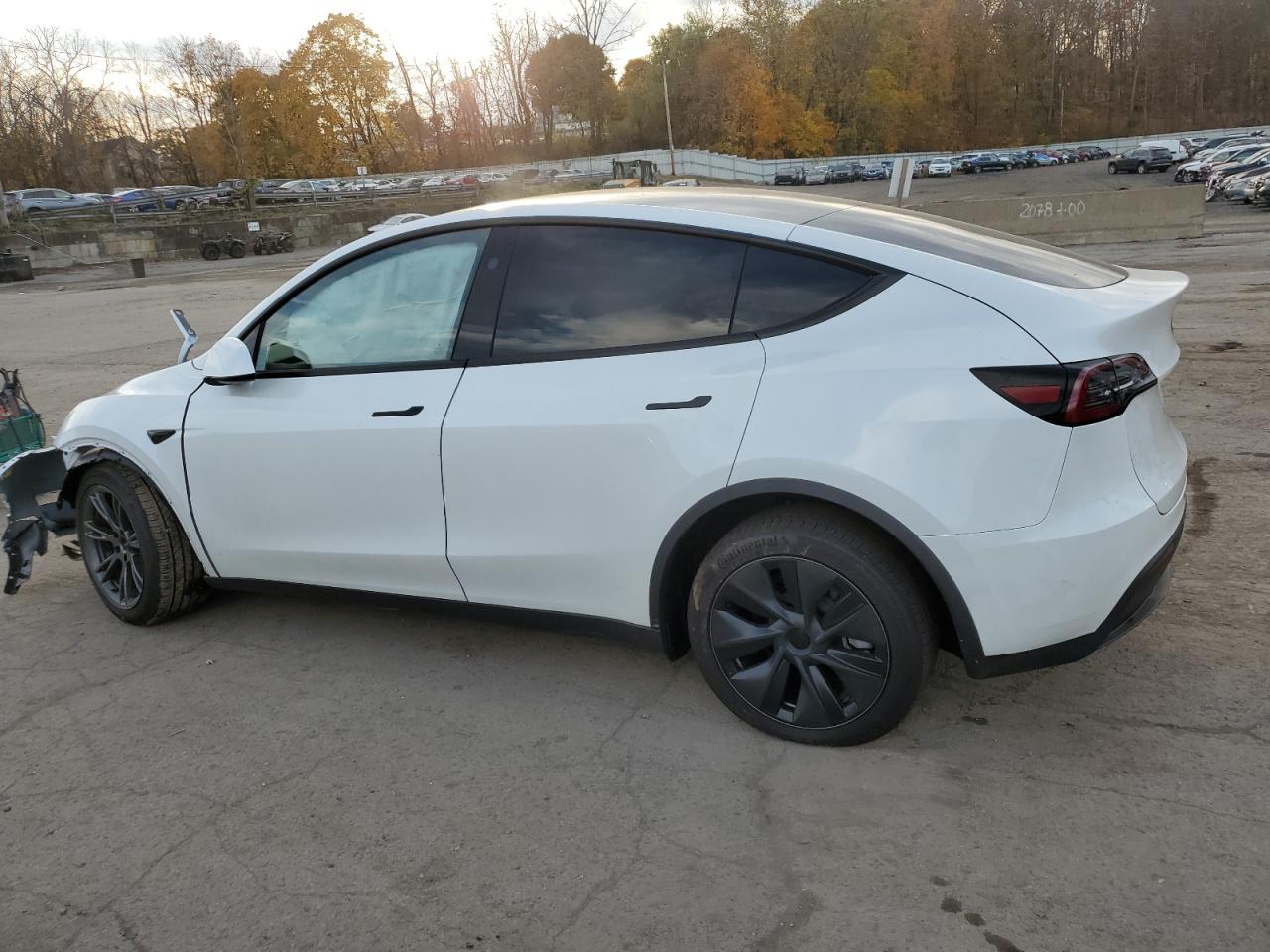 2024 TESLA MODEL Y  VIN:7SAYGDEE5RF130688