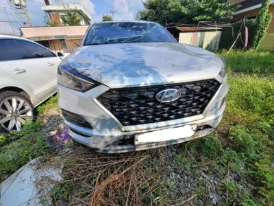 2019 Hyundai Tucson KMHJ281ADKU153929 VIN:KMHJ281ADKU153929