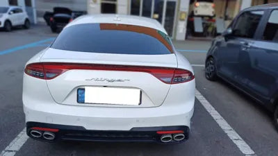 2021 Kia Stinger KNAE351DBMS101749 VIN:KNAE351DBMS101749