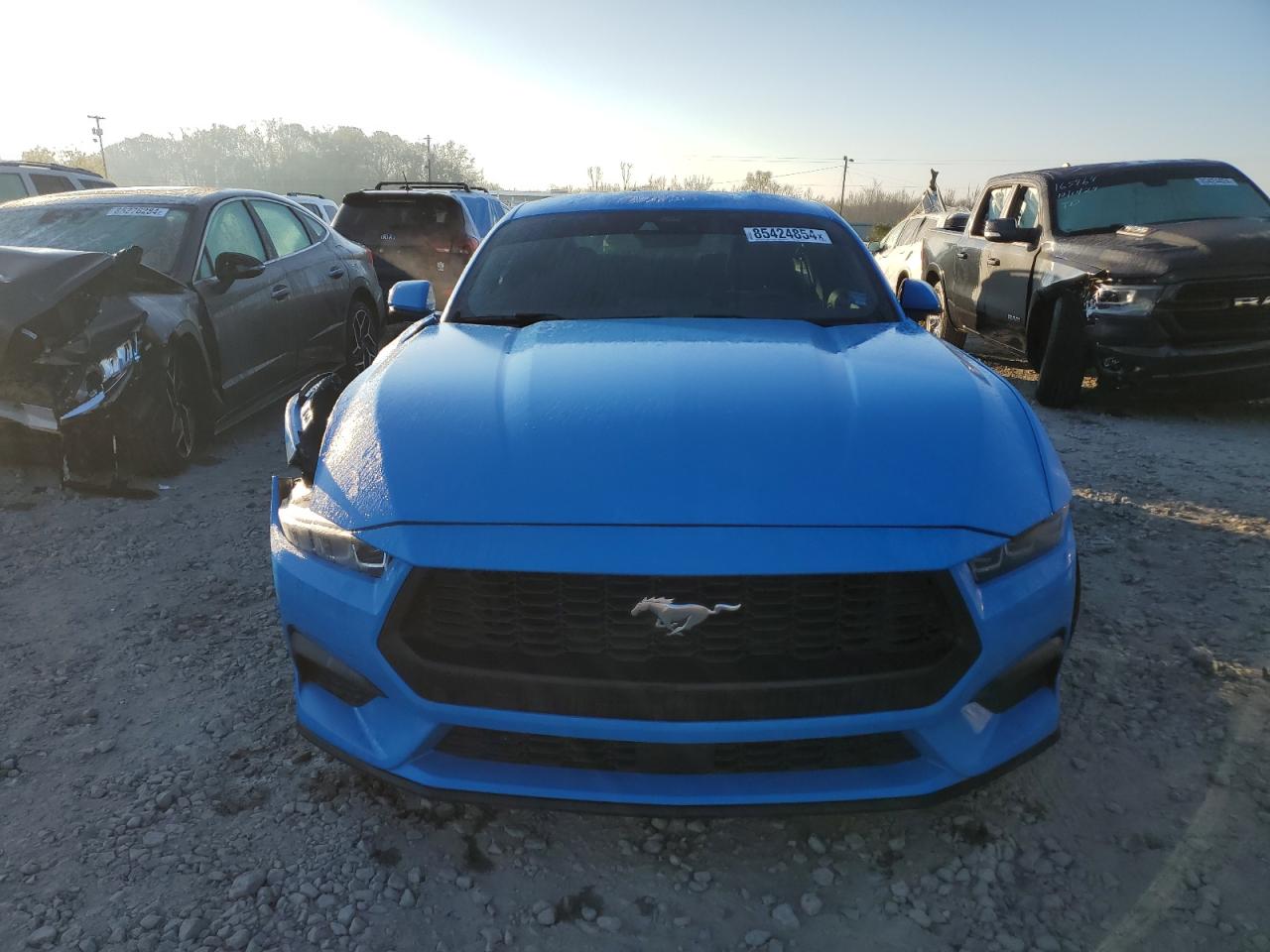 2024 FORD MUSTANG  VIN:1FA6P8TH8R5126876