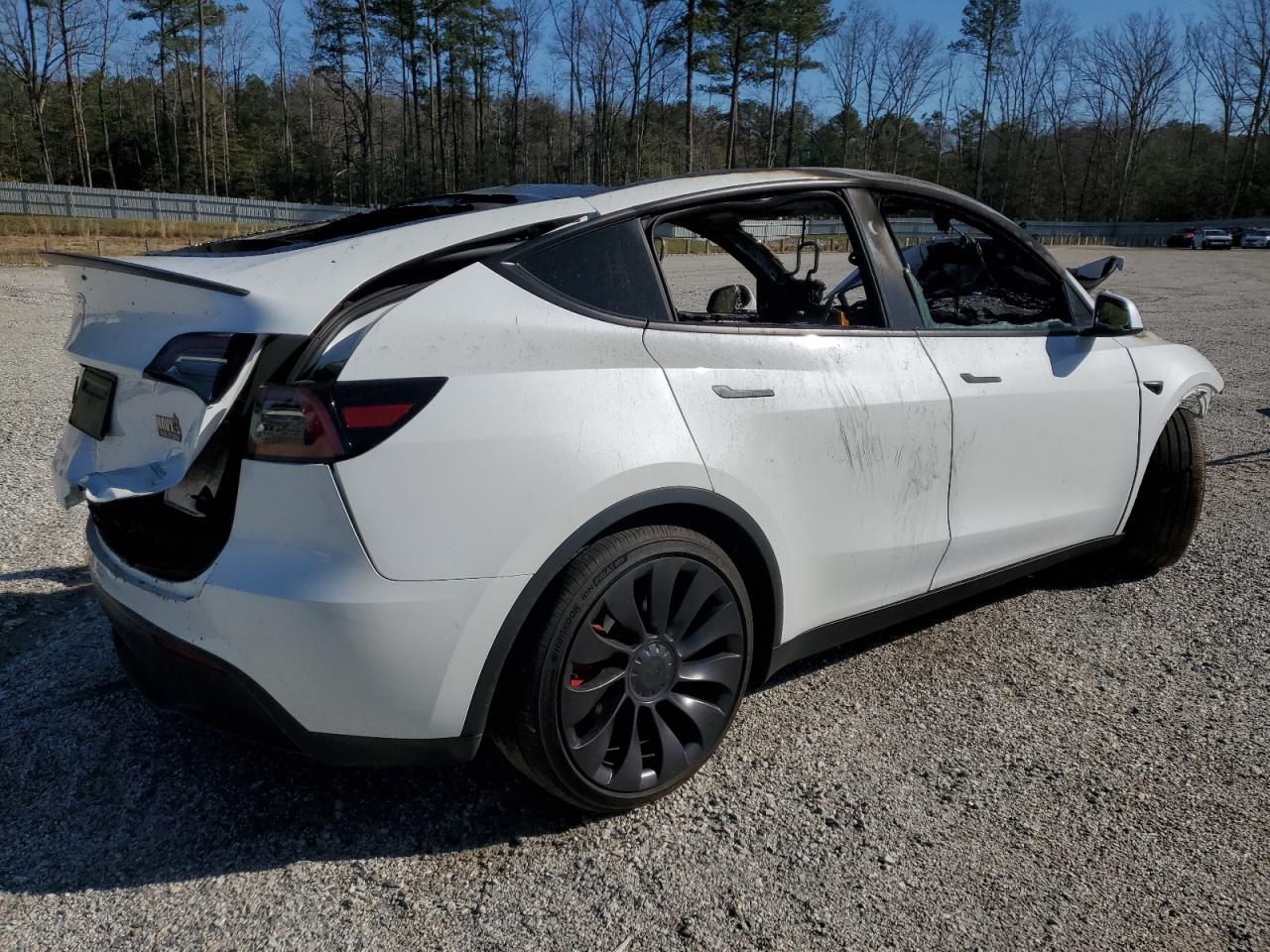 2024 TESLA MODEL Y  VIN:7SAYGDEF5RF183755