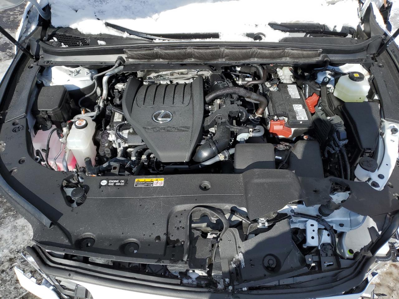 2024 LEXUS RX 350 BASE VIN:2T2BAMCA0RC067911