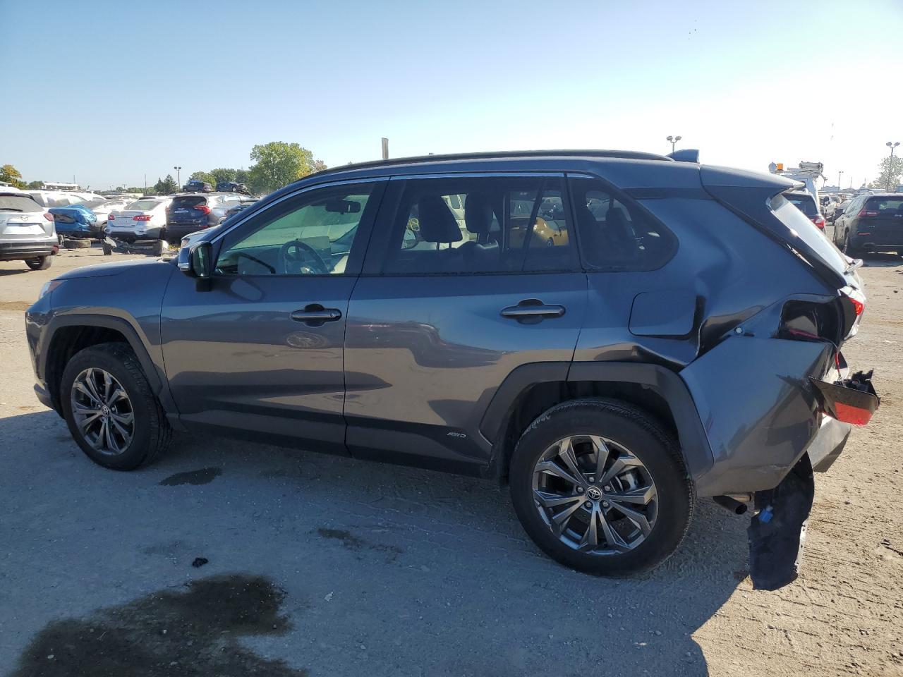 2023 TOYOTA RAV4 XLE PREMIUM VIN:JTMB6RFVXPD082580