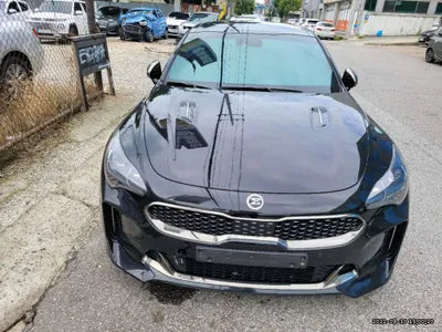 2020 Kia Stinger KNAE751CDLS070299 VIN:KNAE751CDLS070299