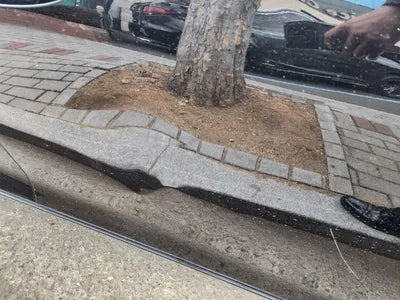 2021 Lexus ES 300 JTHBA1C17N2007280 VIN:JTHBA1C17N2007280