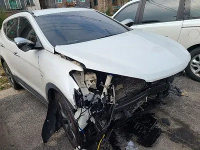 2017 Hyundai Santa FE KMHSW81UBJU839596 VIN:KMHSW81UBJU839596