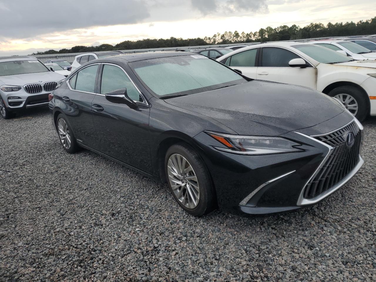 2022 LEXUS ES 300H BASE VIN:58AFA1C19NU014159