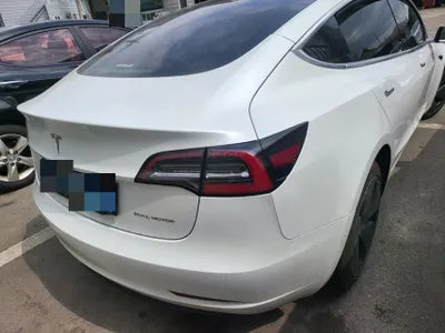 2020 Tesla Model 3 5YJ3E1EB3LF756250 VIN:5YJ3E1EB3LF756250