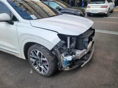 2021 Hyundai Santa FE KMHS581HGMU325409 VIN:KMHS581HGMU325409