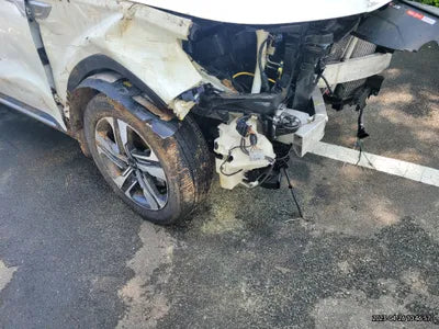 2021 Kia Sorento KNARG81GBMA004149 VIN:KNARG81GBMA004149
