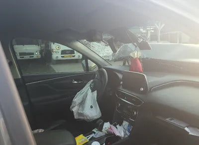 2020 Hyundai Santa FE KMKMHS281BBLU2313 VIN:KMKMHS281BBLU2313