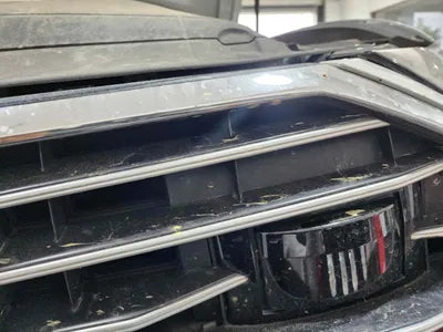 2021 Audi A6 WAUZZZF2XMN020983 VIN:WAUZZZF2XMN020983