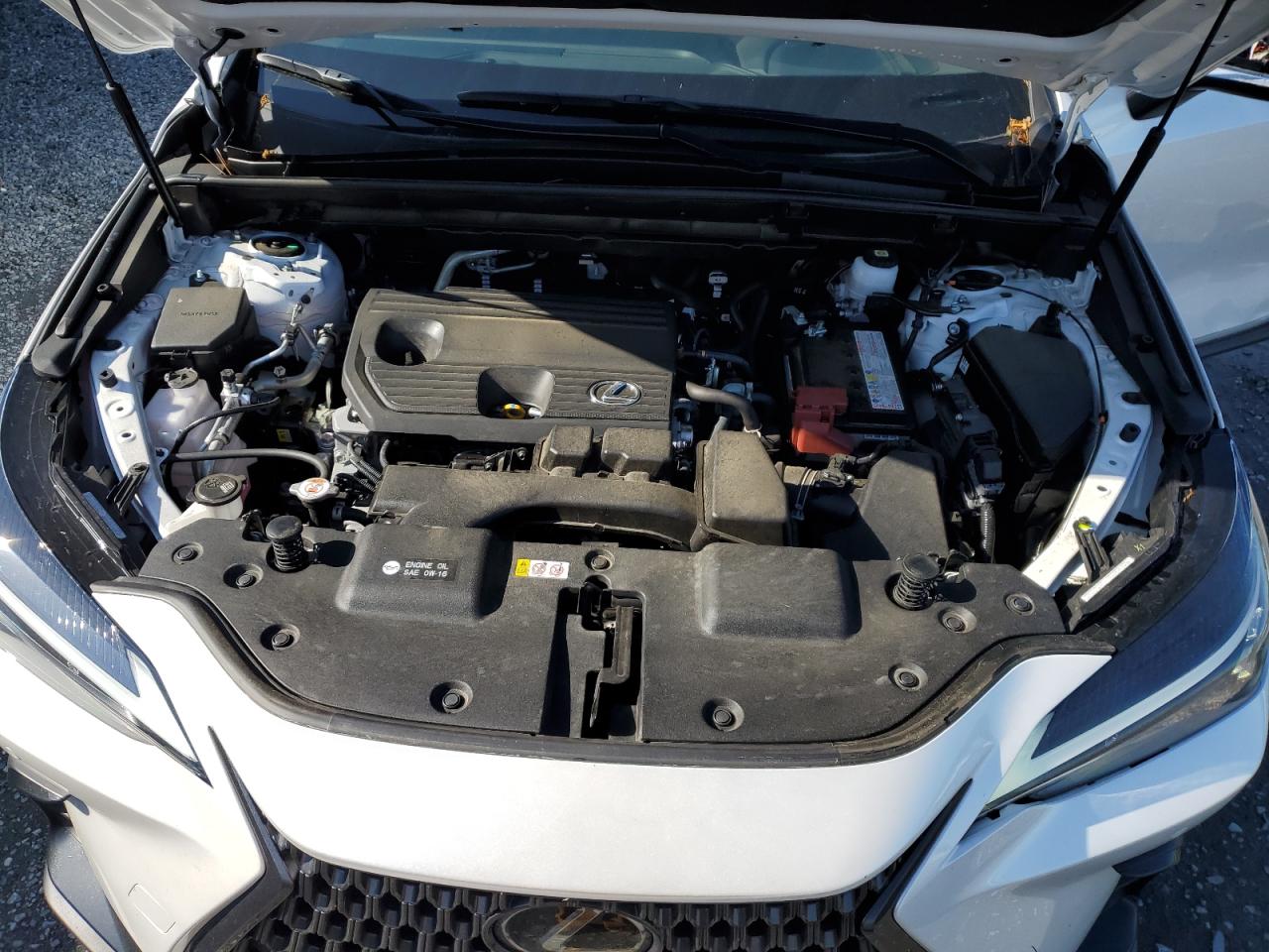 2023 LEXUS NX 250 VIN:JTJGDCAZ6P5010852