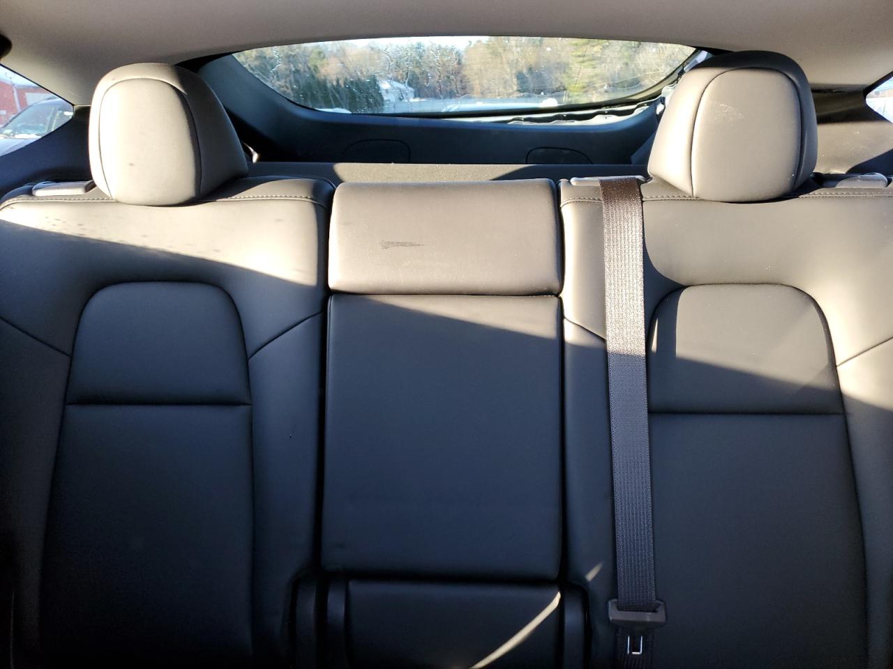2023 TESLA MODEL Y  VIN:7SAYGDEE5PA129745