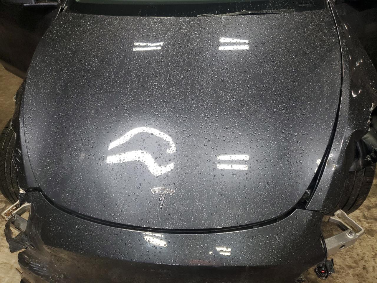 2024 TESLA MODEL Y  VIN:7SAYGAEE8RF063468