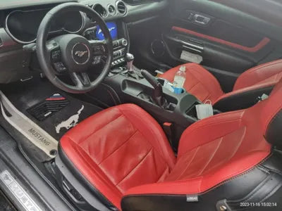 2019 Ford Mustang VIN: