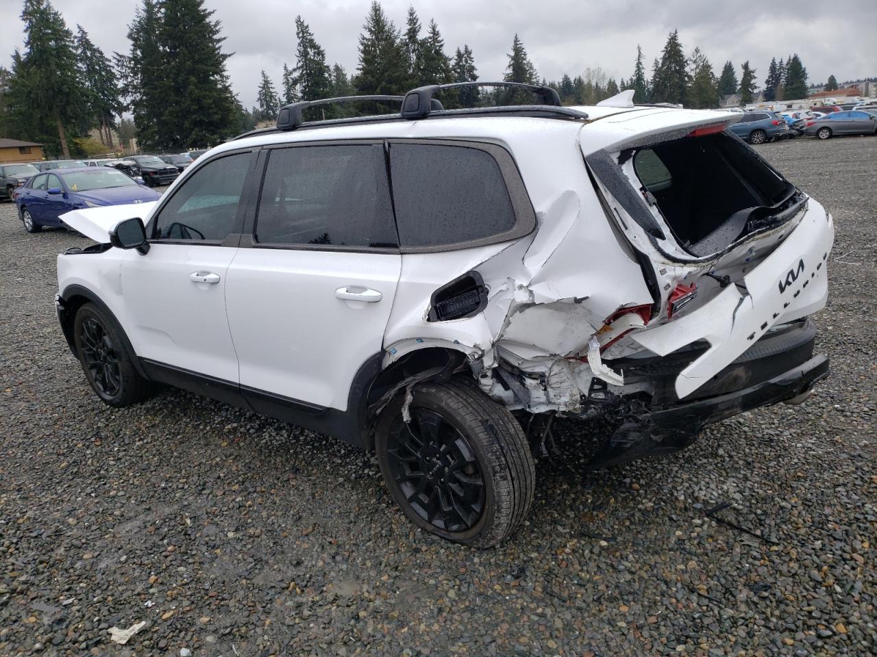 2022 KIA TELLURIDE SX VIN:5XYP5DHC9NG221829