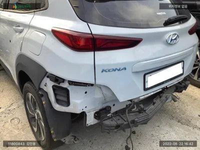 2020 Hyundai Kona KMHK381EGLU028679 VIN:KMHK381EGLU028679