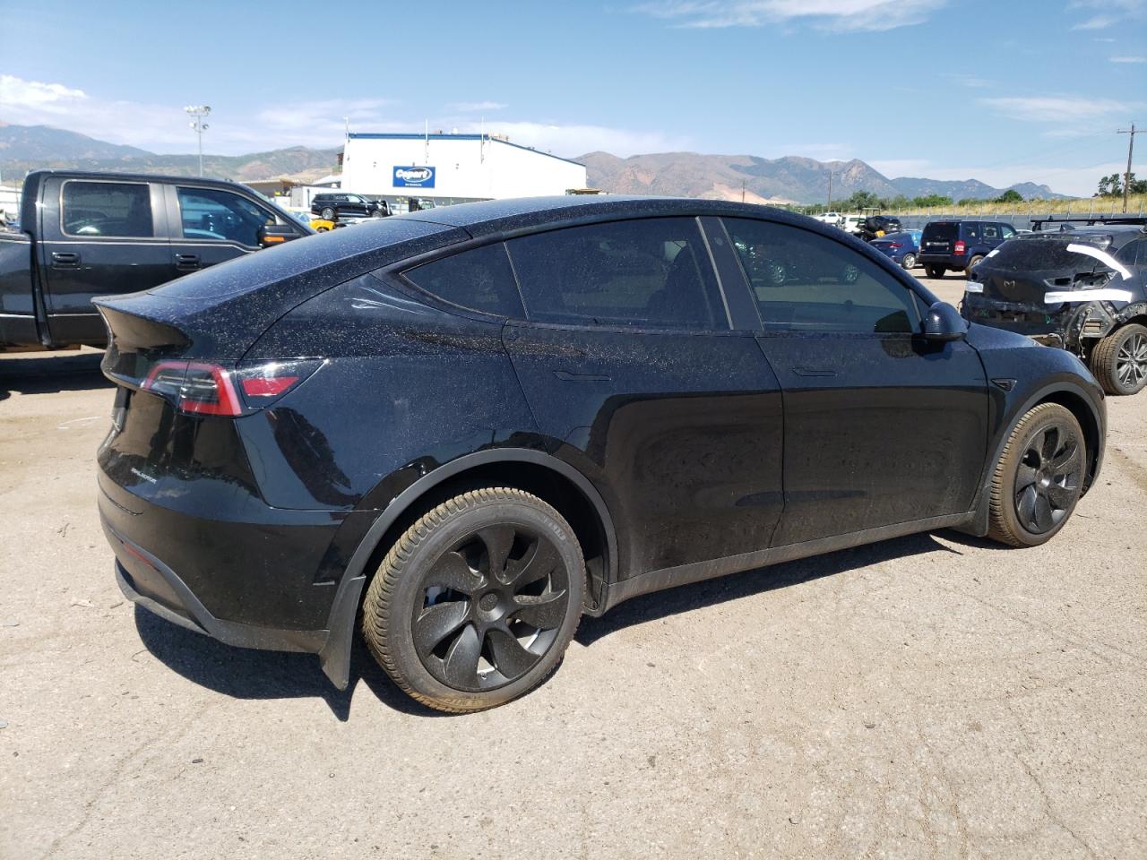 2023 TESLA MODEL Y  VIN:7SAYGDEE9PF699184