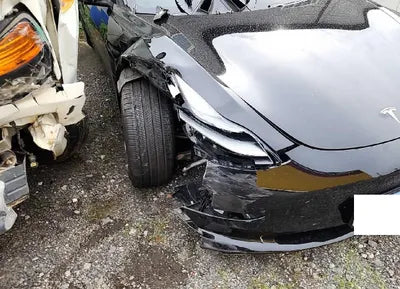 2021 Tesla Model 3 5YJ3E1EB3MF951606 VIN:5YJ3E1EB3MF951606