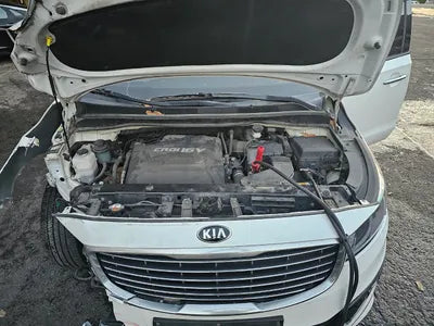 2015 Kia Carnival KNAMB81ABFS044619 VIN:KNAMB81ABFS044619