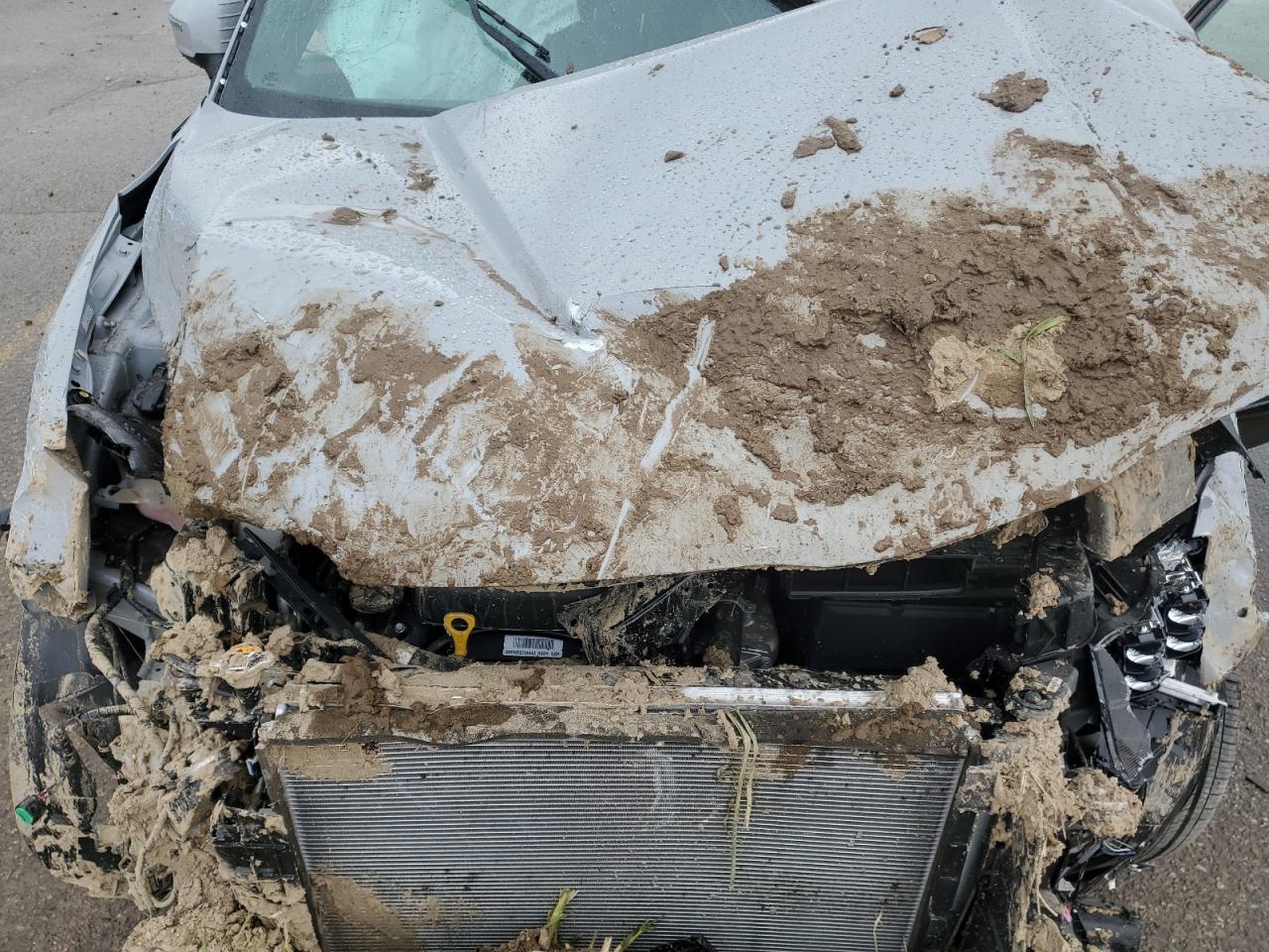 2024 KIA TELLURIDE EX VIN:5XYP3DGC9RG528916